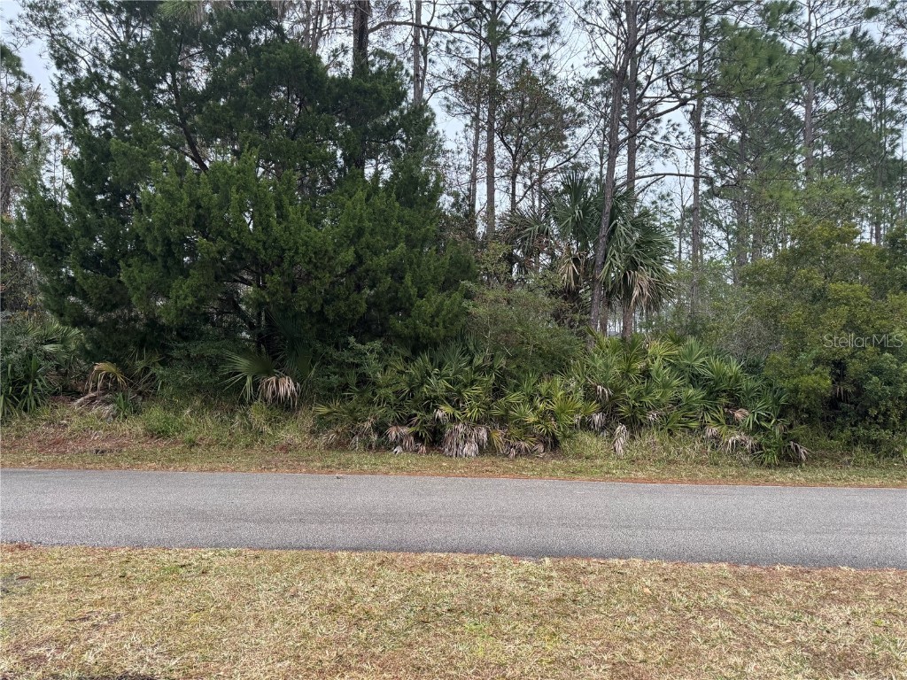 14 Union Run Court Palm Coast FL 32164 FC306673 image1