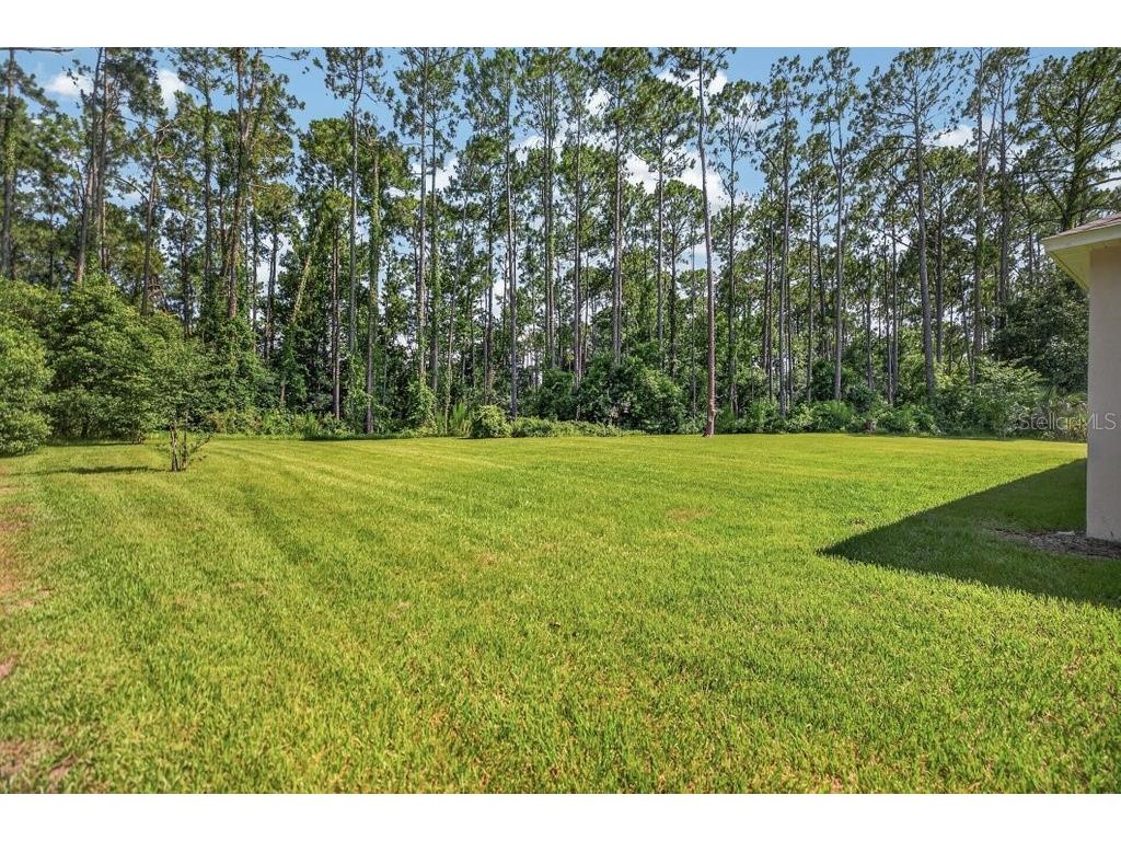 14 Woodworth Drive Palm Coast FL 32164 FC319517 image52