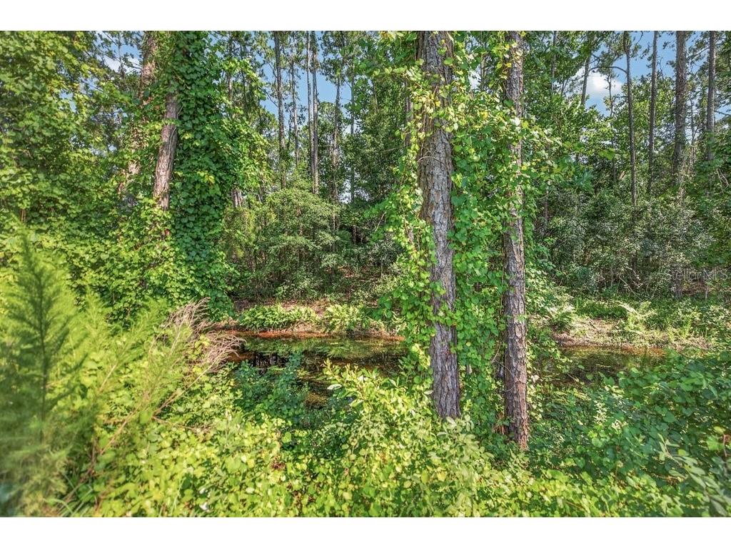 14 Woodworth Drive Palm Coast FL 32164 FC319517 image53