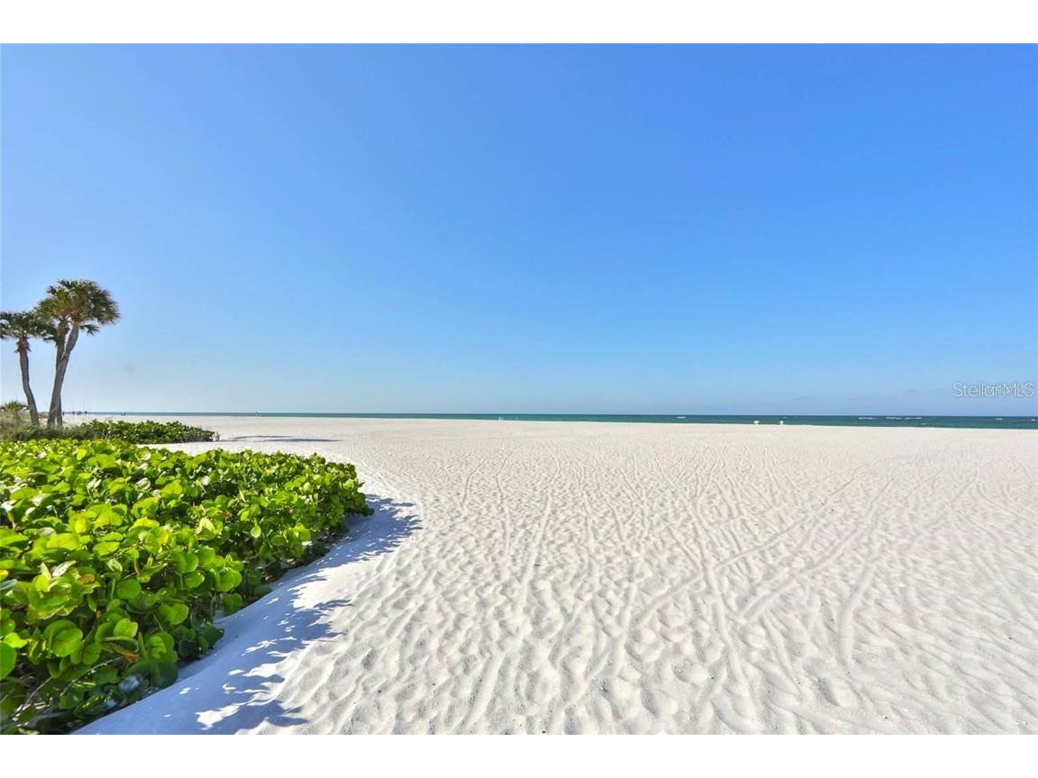 140 95th Avenue Treasure Island FL 33706 TB8407602 image7