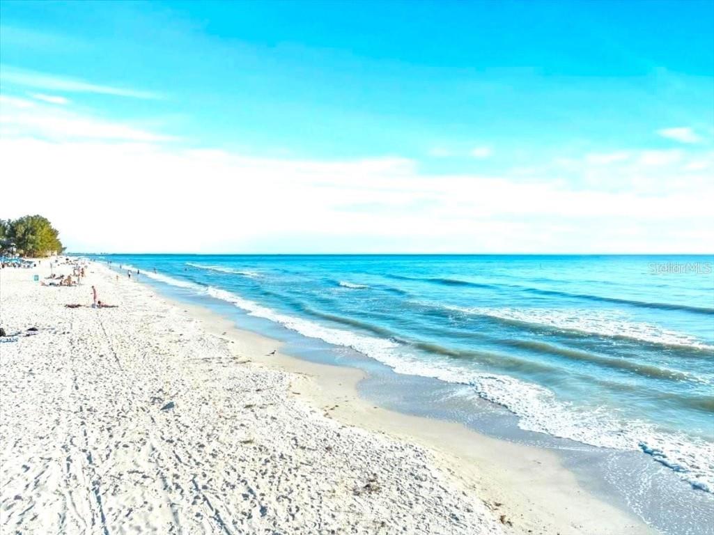 140 95th Avenue Treasure Island FL 33706 TB8407602 image9
