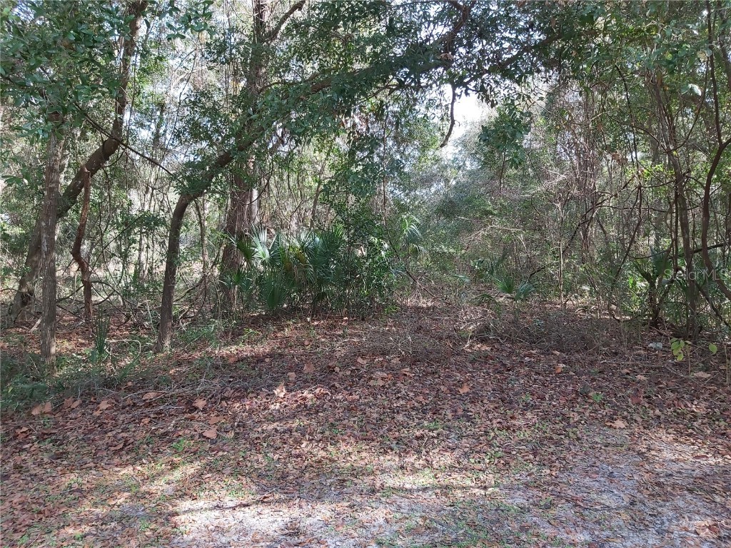 140 Ambrose Avenue Satsuma FL 32189 V4928991 image1