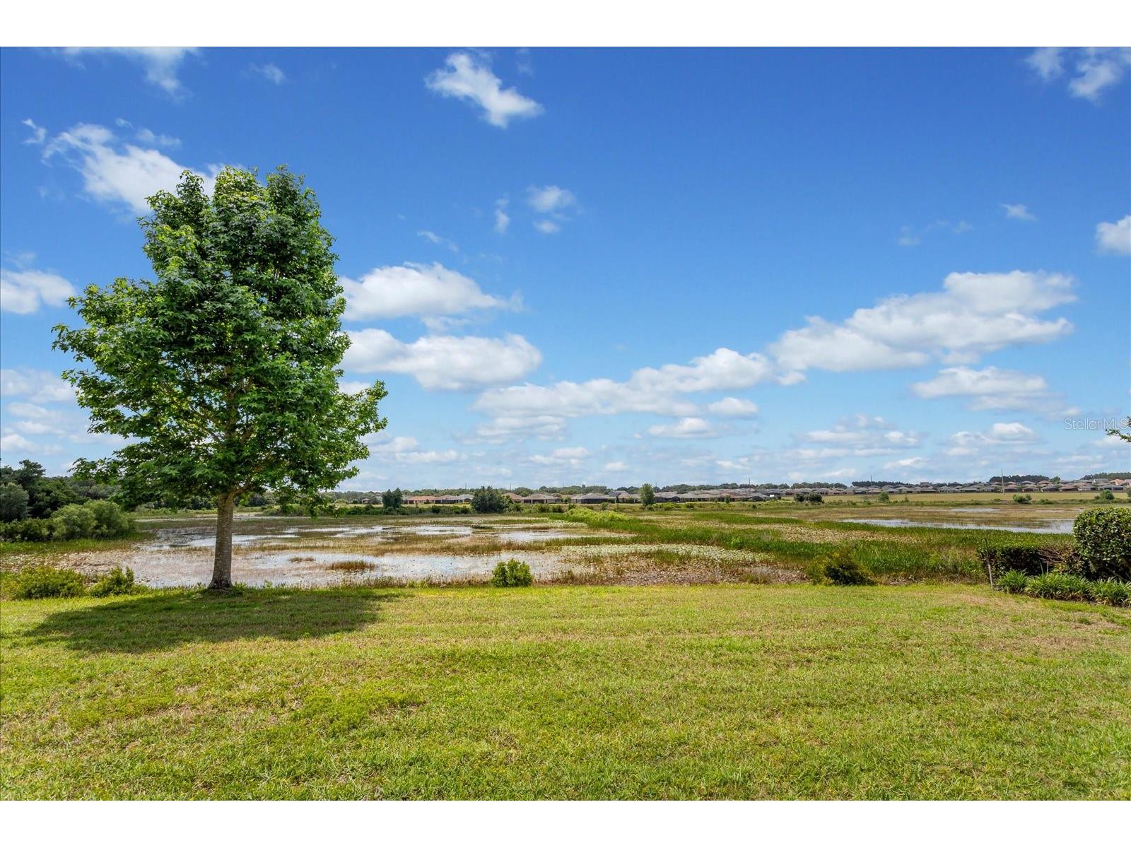 140 Bayou Bend Road Groveland FL 34736 - SCHOOL HOUSE LAKE G5111857 image30