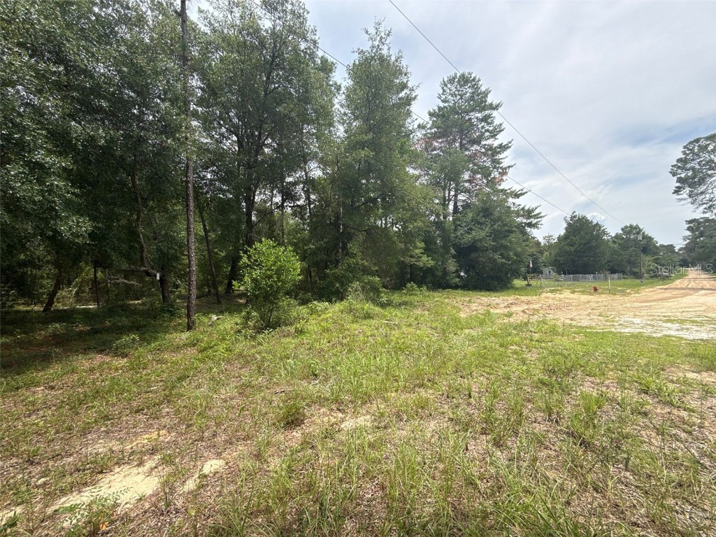 140 Cherokee Drive Interlachen FL 32148 FC311110 image3