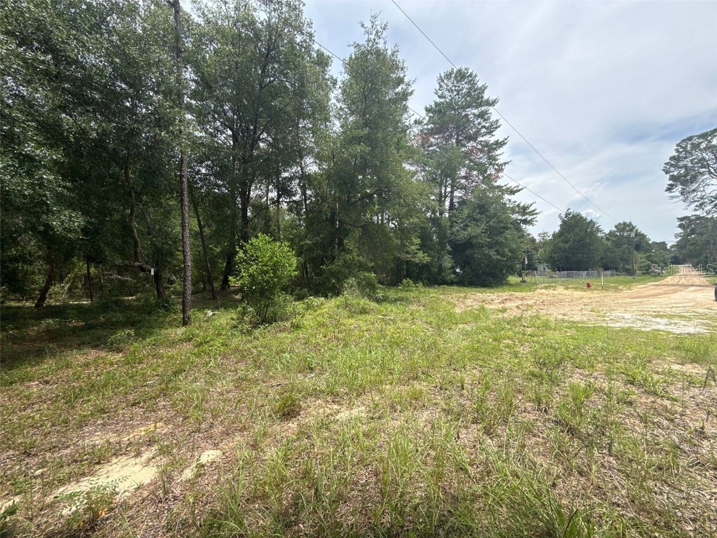 140 Cherokee Drive Interlachen FL 32148 FC311110 image4