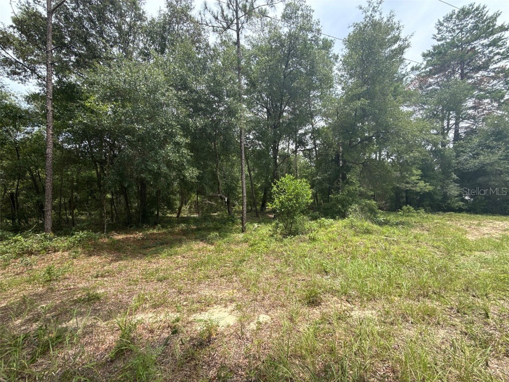 140 Cherokee Drive Interlachen FL 32148 FC311110 image5