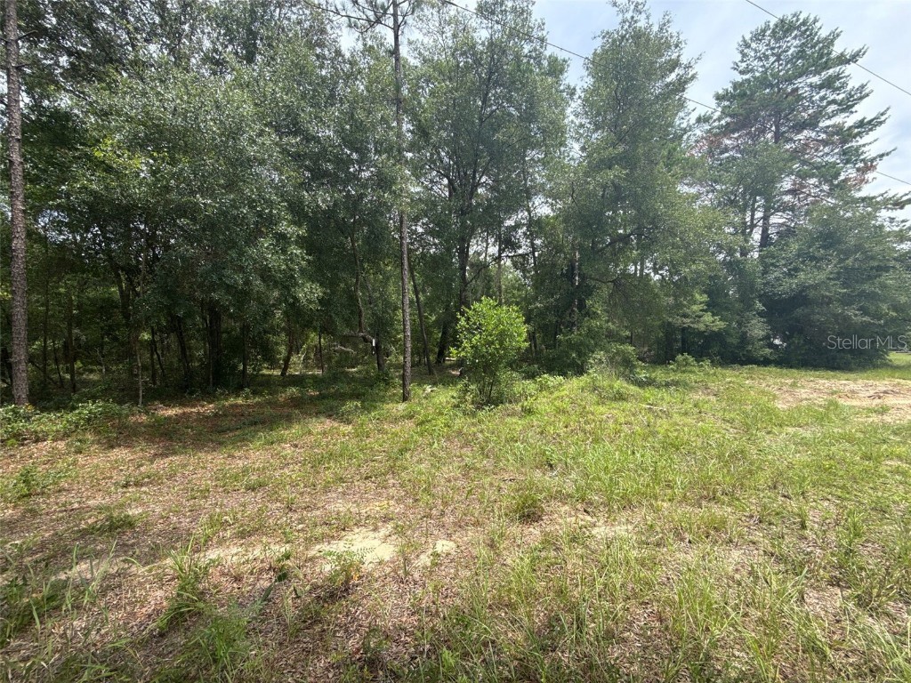 140 Cherokee Drive Interlachen FL 32148 FC311110 image6