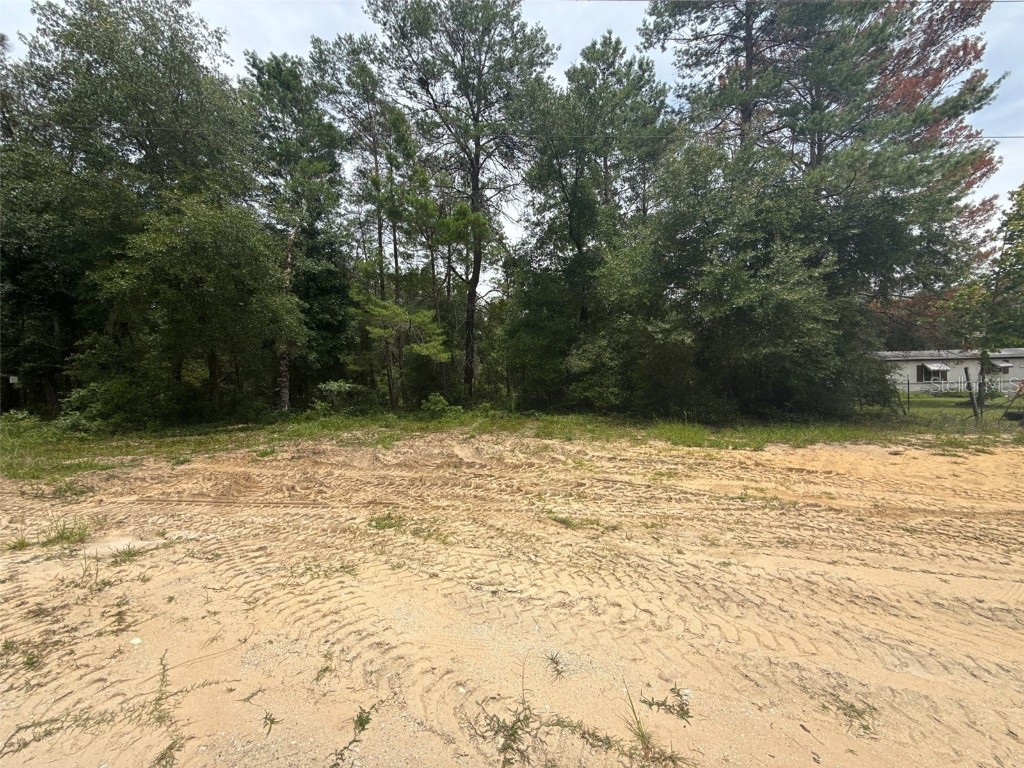 140 Cherokee Drive Interlachen FL 32148 FC311110 image8