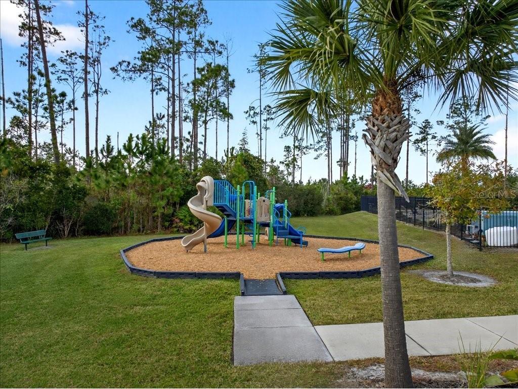 140 Crepe Myrtle Court Palm Coast FL 32164 FC314459 image16