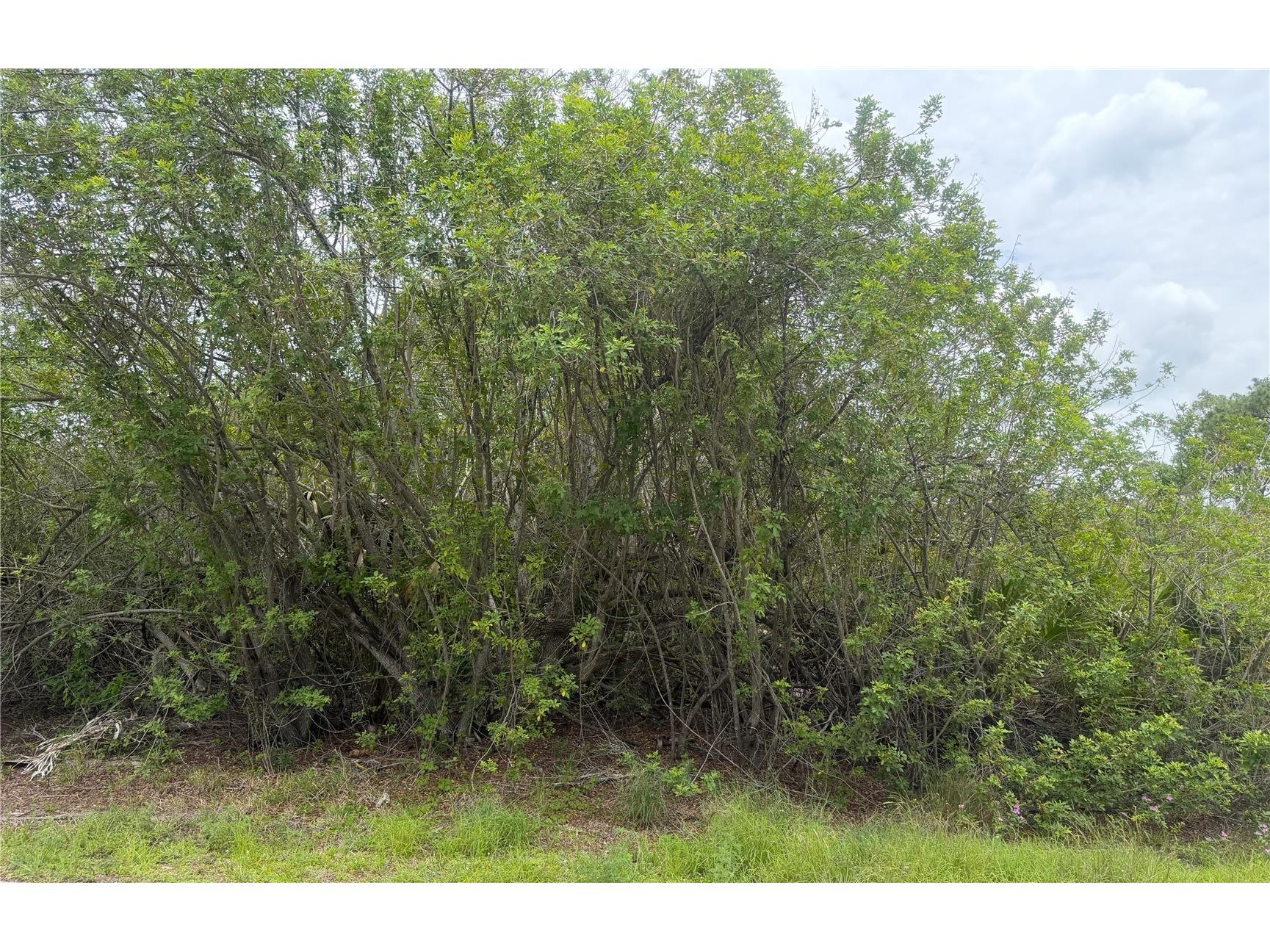 140 Fillmore Avenue Lake Placid FL 33852 L4962653 image1