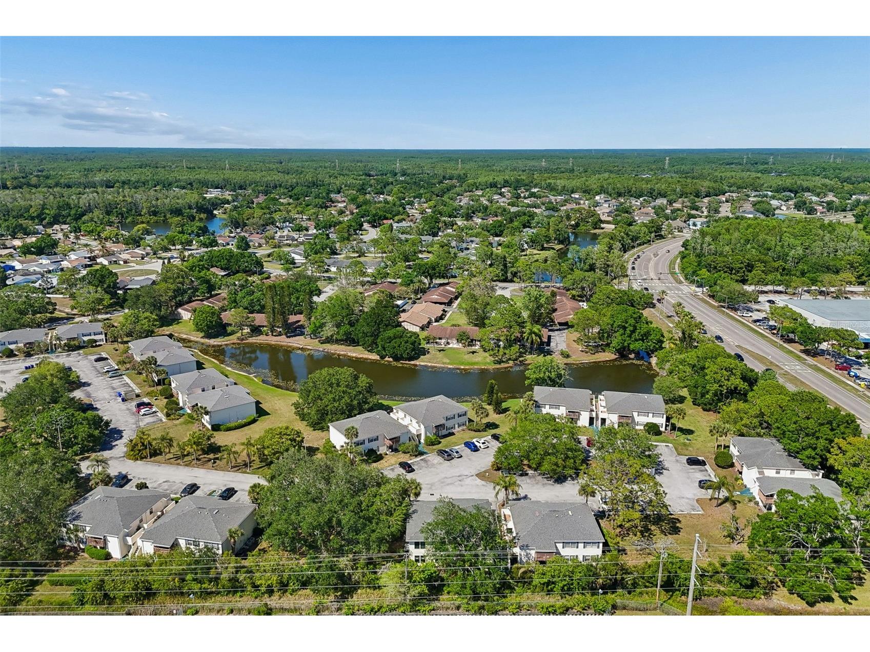 140 Hunter Lake Drive #8C Oldsmar FL 34677 TB8500198 image56