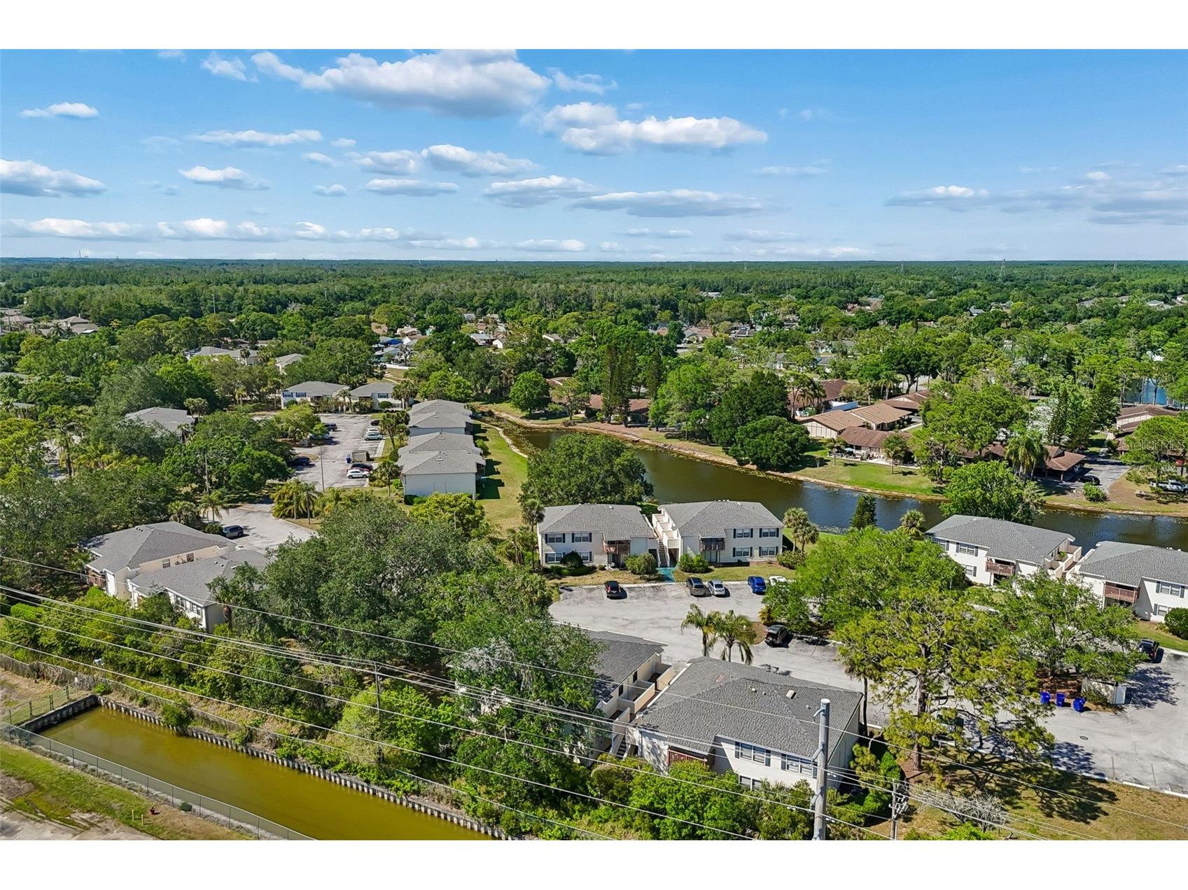 140 Hunter Lake Drive #8C Oldsmar FL 34677 TB8500198 image58