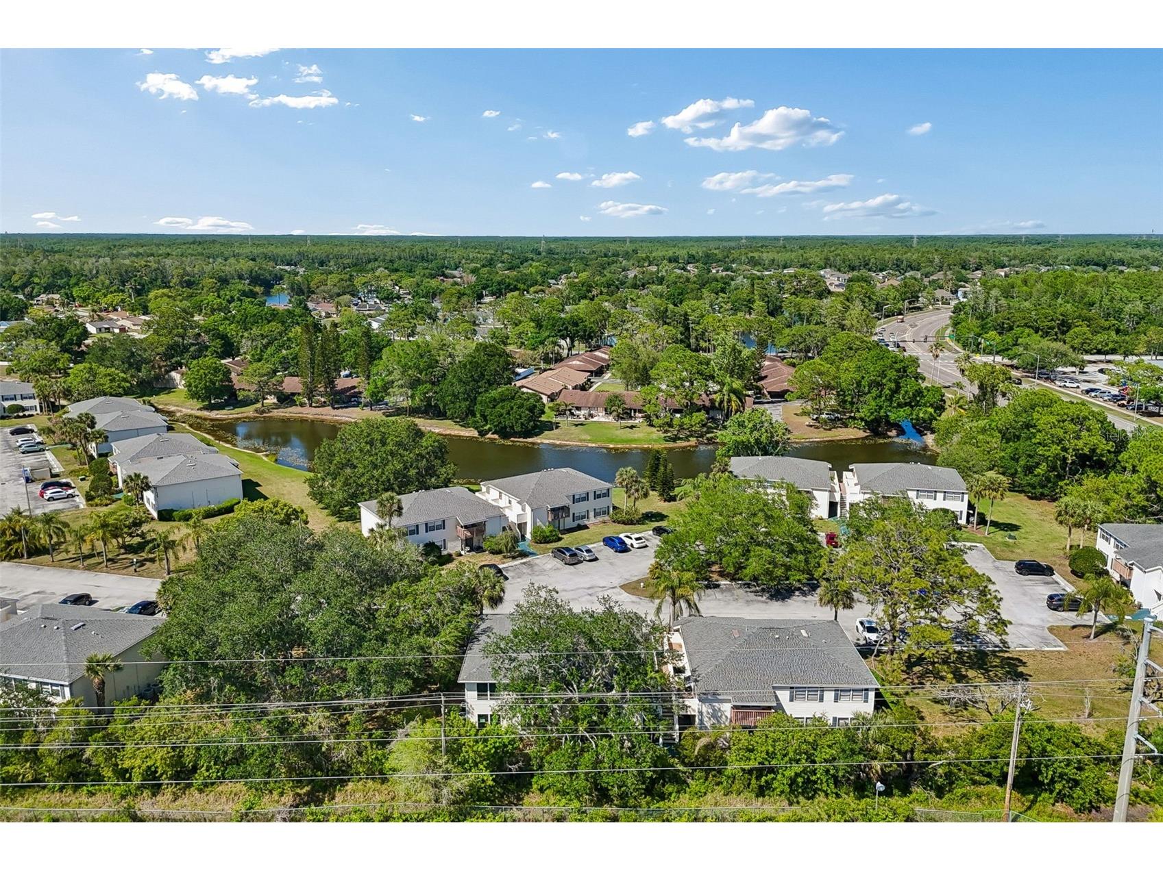 140 Hunter Lake Drive #8C Oldsmar FL 34677 TB8500198 image59
