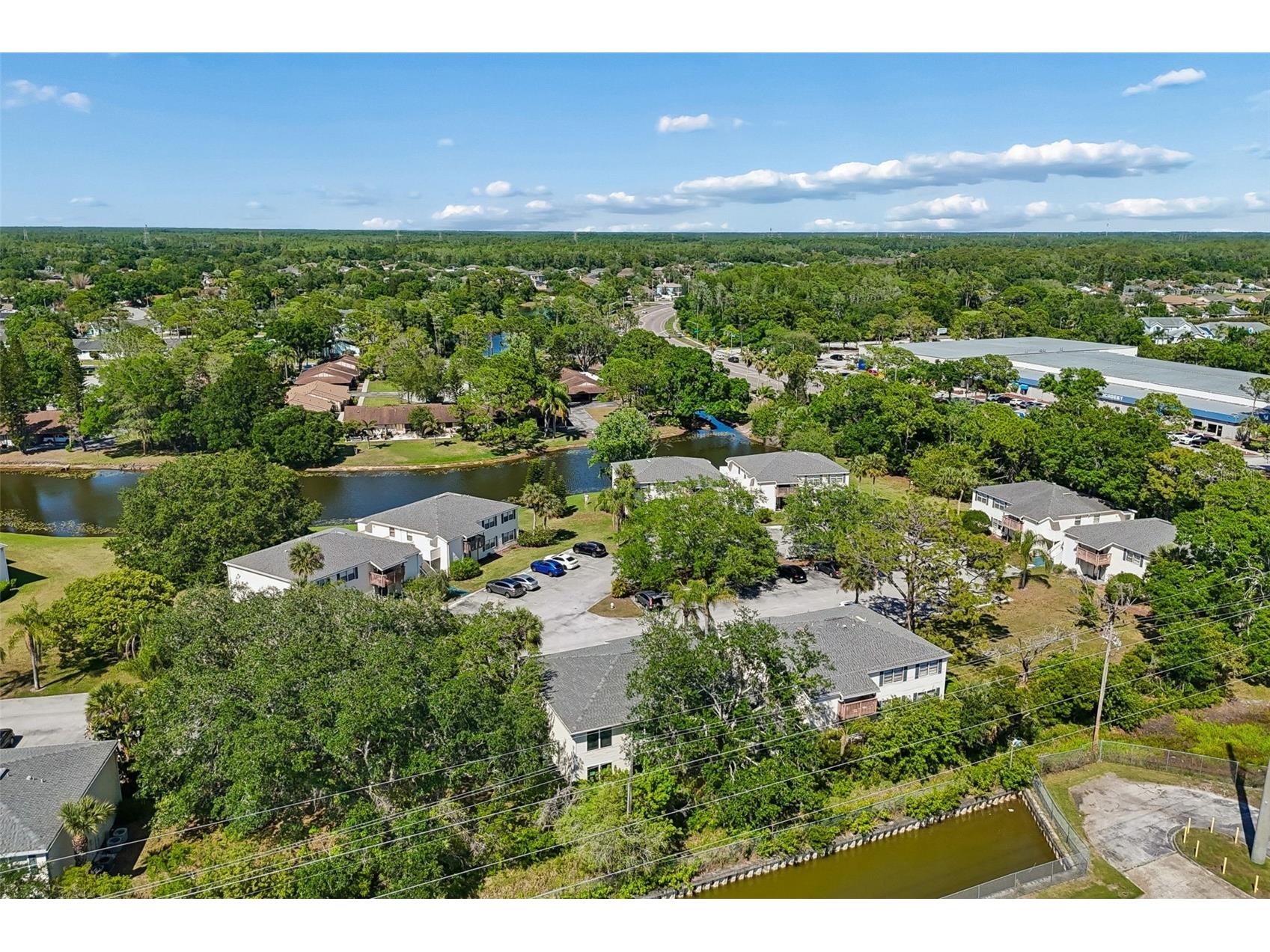 140 Hunter Lake Drive #8C Oldsmar FL 34677 TB8500198 image60