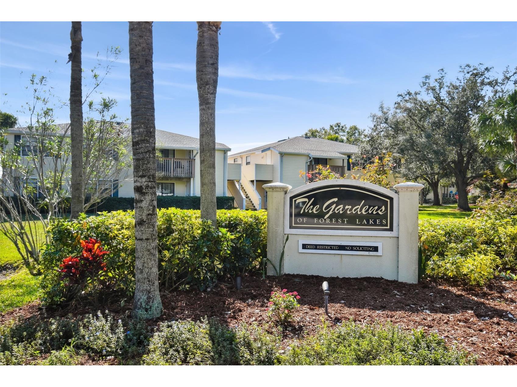 140 Hunter Lake Drive #8C Oldsmar FL 34677 TB8500198 image61