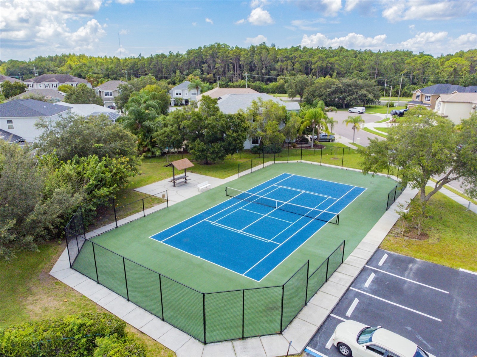 140 Hunter Lake Drive #8C Oldsmar FL 34677 TB8500198 image62