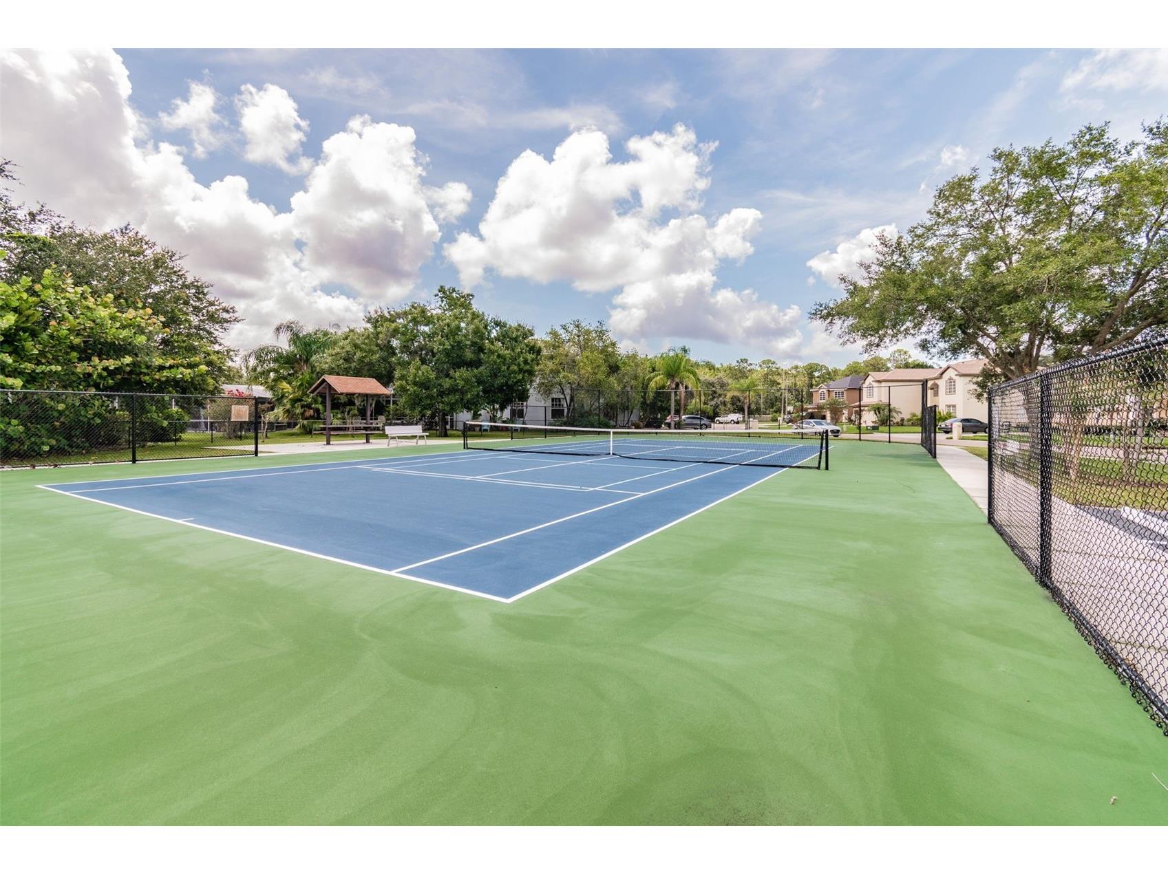 140 Hunter Lake Drive #8C Oldsmar FL 34677 TB8500198 image63