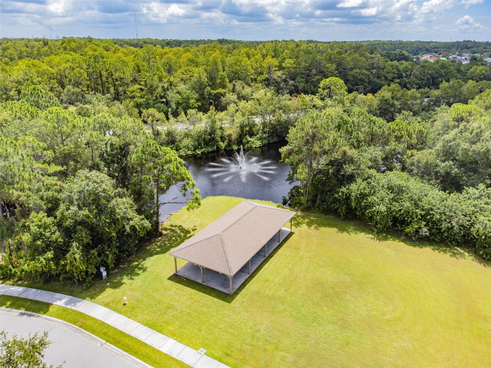 140 Hunter Lake Drive #8C Oldsmar FL 34677 TB8500198 image64