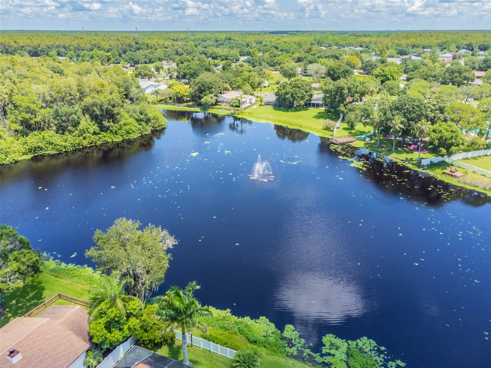 140 Hunter Lake Drive #8C Oldsmar FL 34677 TB8500198 image69