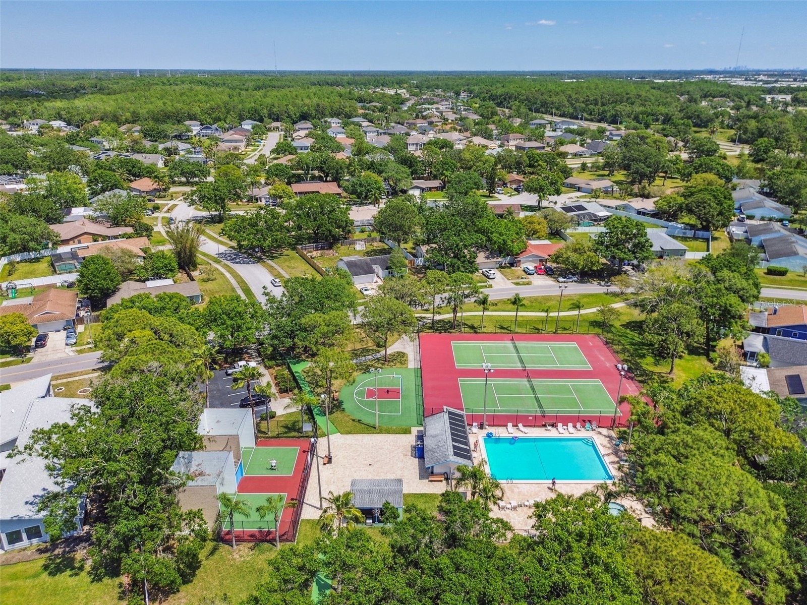 140 Hunter Lake Drive #8C Oldsmar FL 34677 TB8500198 image71