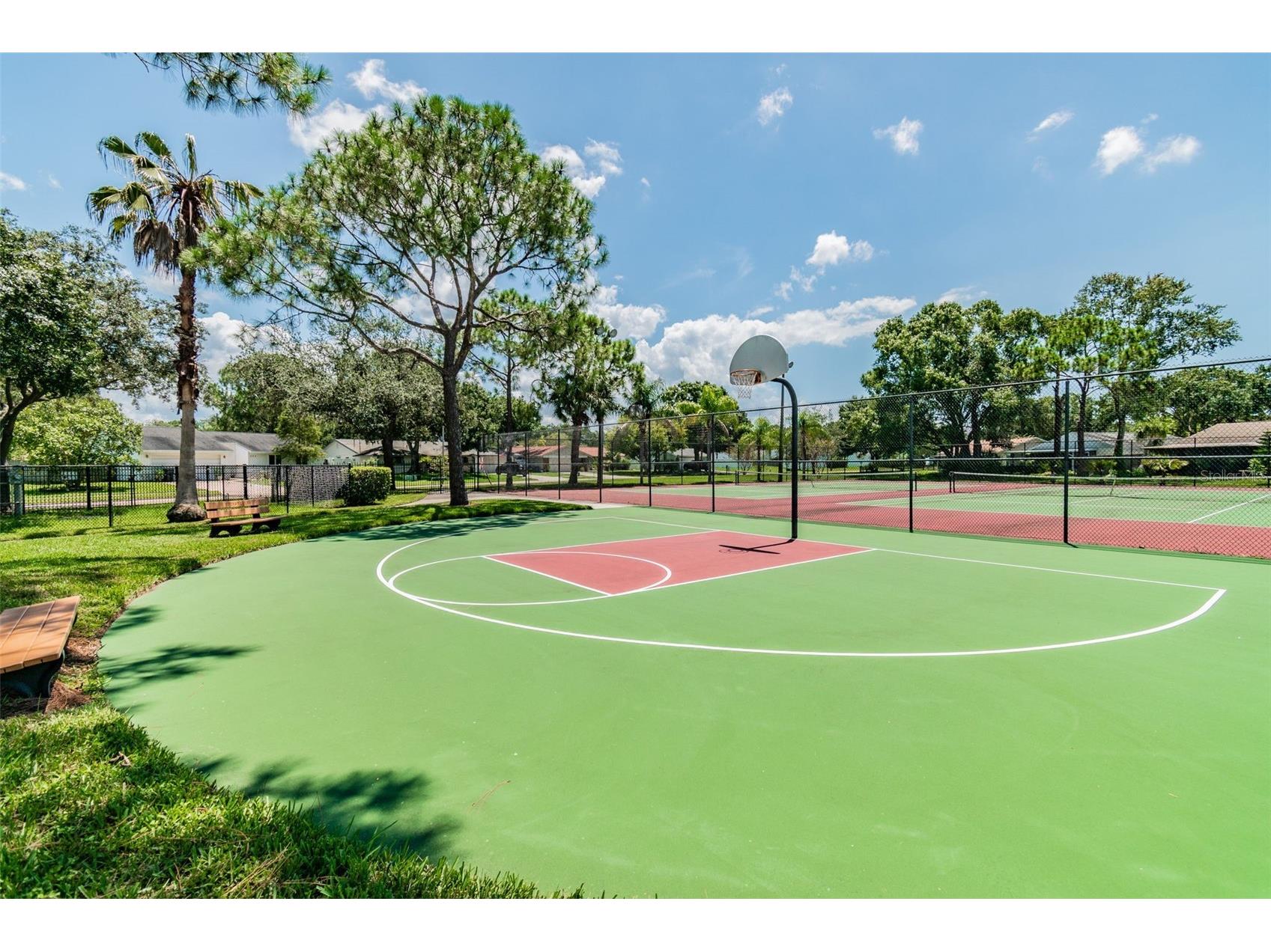 140 Hunter Lake Drive #8C Oldsmar FL 34677 TB8500198 image73
