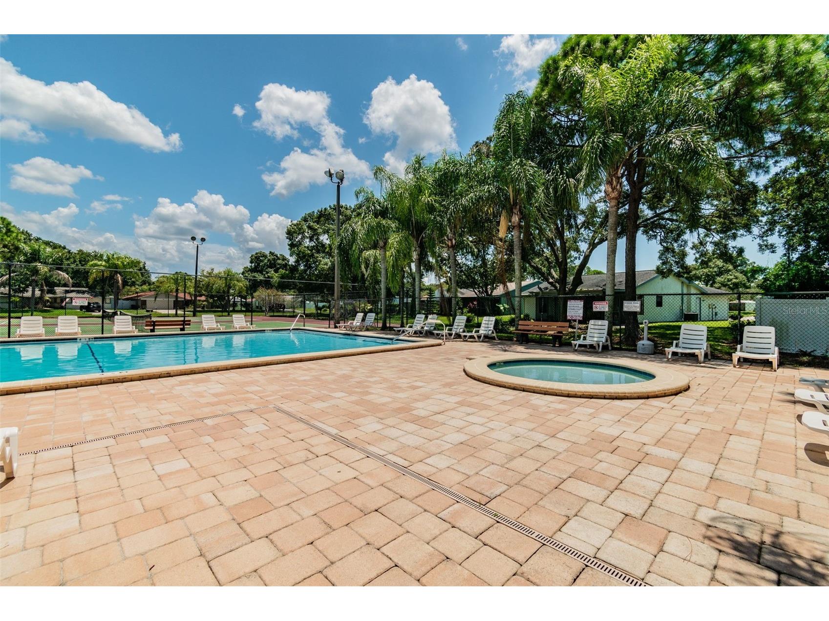 140 Hunter Lake Drive #8C Oldsmar FL 34677 TB8500198 image80