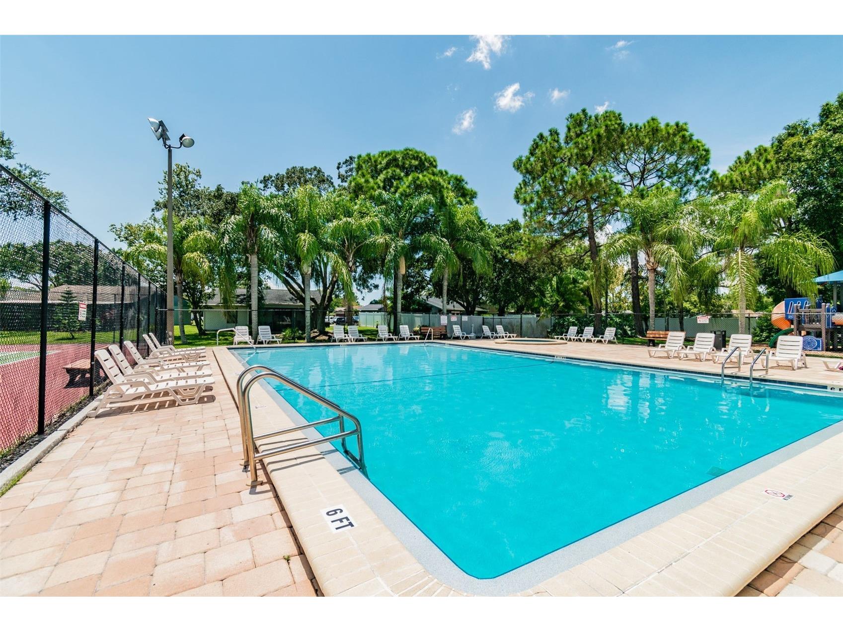 140 Hunter Lake Drive #8C Oldsmar FL 34677 TB8500198 image81