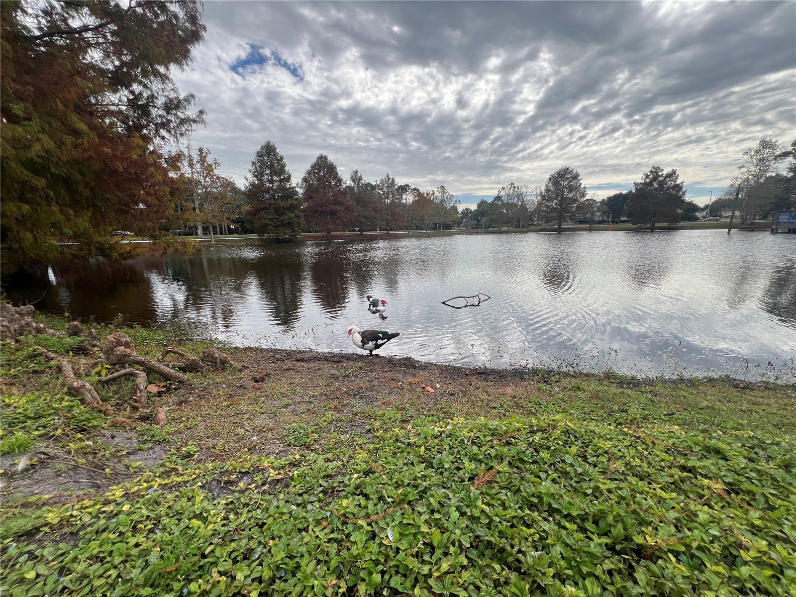 140 N. Fairfax Winter Springs FL 32708 O6364352 image41