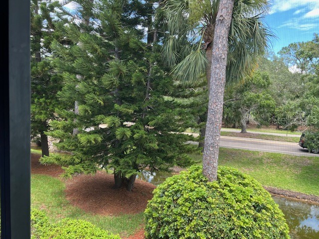 140 Nina Way Oldsmar FL 34677 TB8397910 image16