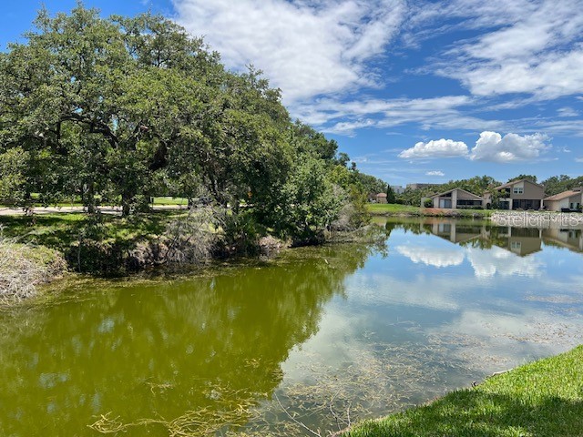 140 Nina Way Oldsmar FL 34677 TB8397910 image22