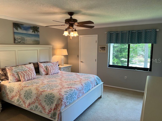 140 Nina Way Oldsmar FL 34677 TB8397910 image32