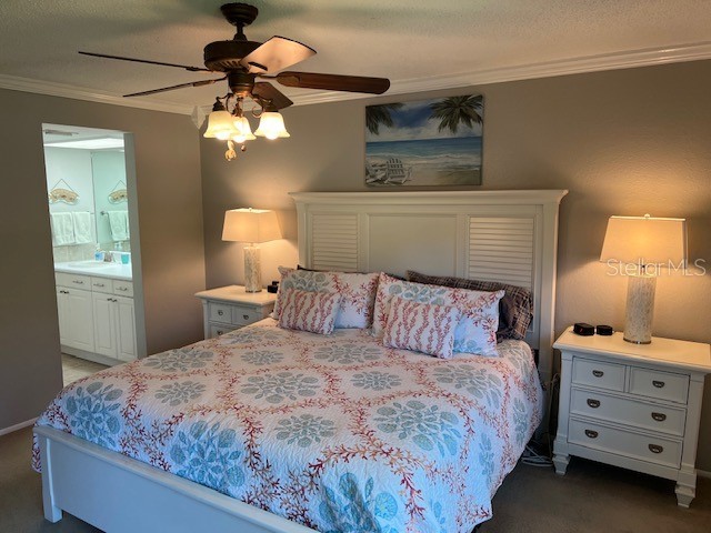 140 Nina Way Oldsmar FL 34677 TB8397910 image33