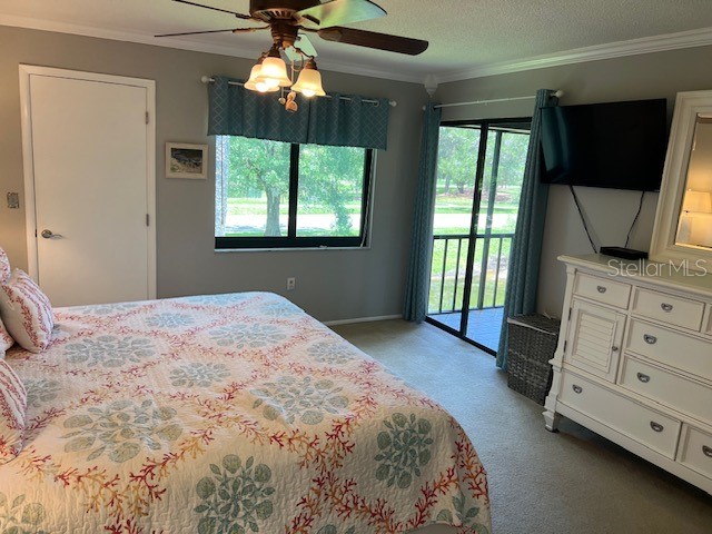 140 Nina Way Oldsmar FL 34677 TB8397910 image34