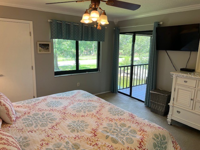 140 Nina Way Oldsmar FL 34677 TB8397910 image35