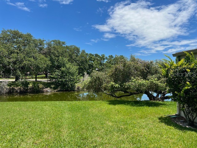 140 Nina Way Oldsmar FL 34677 TB8397910 image52