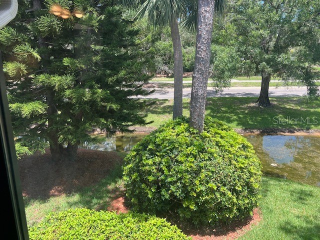 140 Nina Way Oldsmar FL 34677 TB8397910 image53