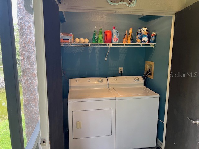 140 Nina Way Oldsmar FL 34677 TB8397910 image55