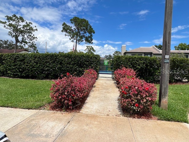 140 Nina Way Oldsmar FL 34677 TB8397910 image61