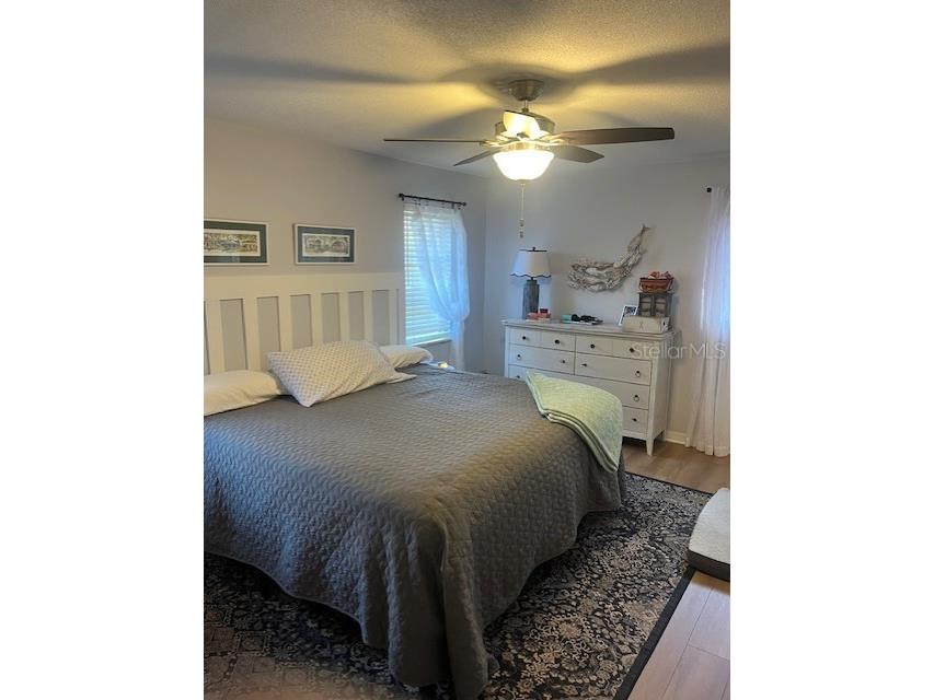 140 Patty Ann Boulevard Palm Harbor FL 34683 TB8501790 image14