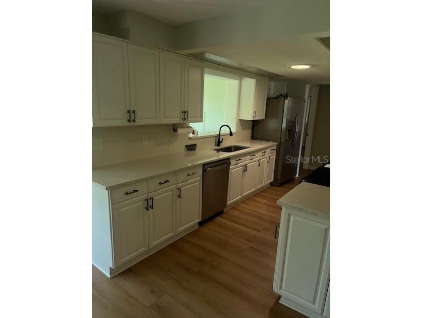 140 Patty Ann Boulevard Palm Harbor FL 34683 TB8501790 image6