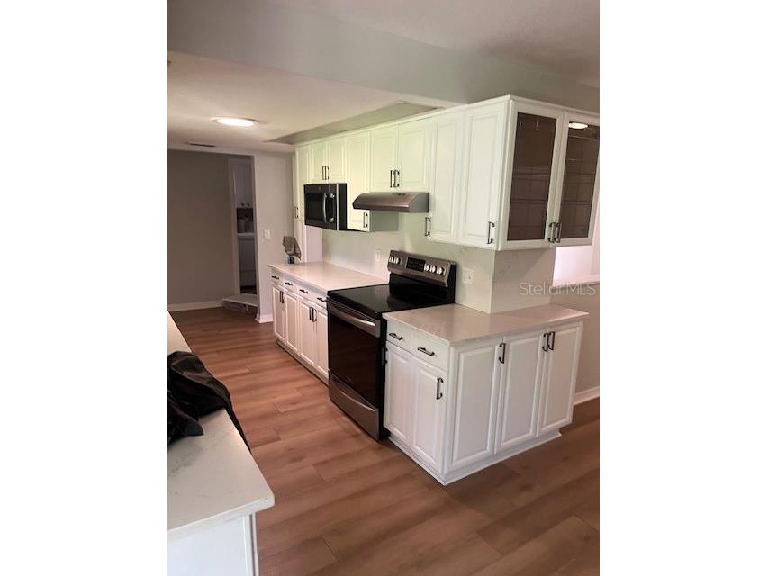 140 Patty Ann Boulevard Palm Harbor FL 34683 TB8501790 image7