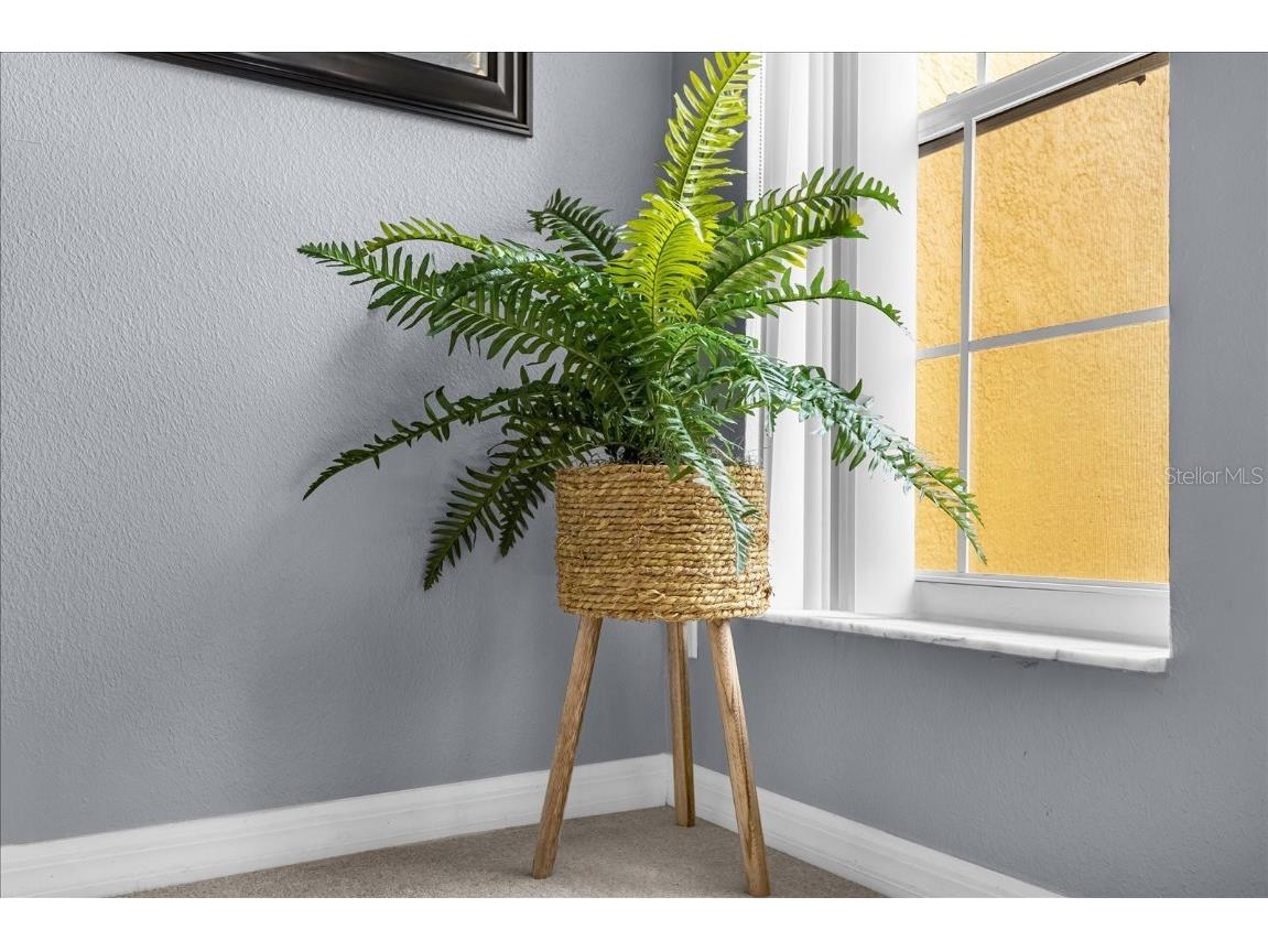 140 Pompano Beach Drive Kissimmee FL 34746 O6358440 image17