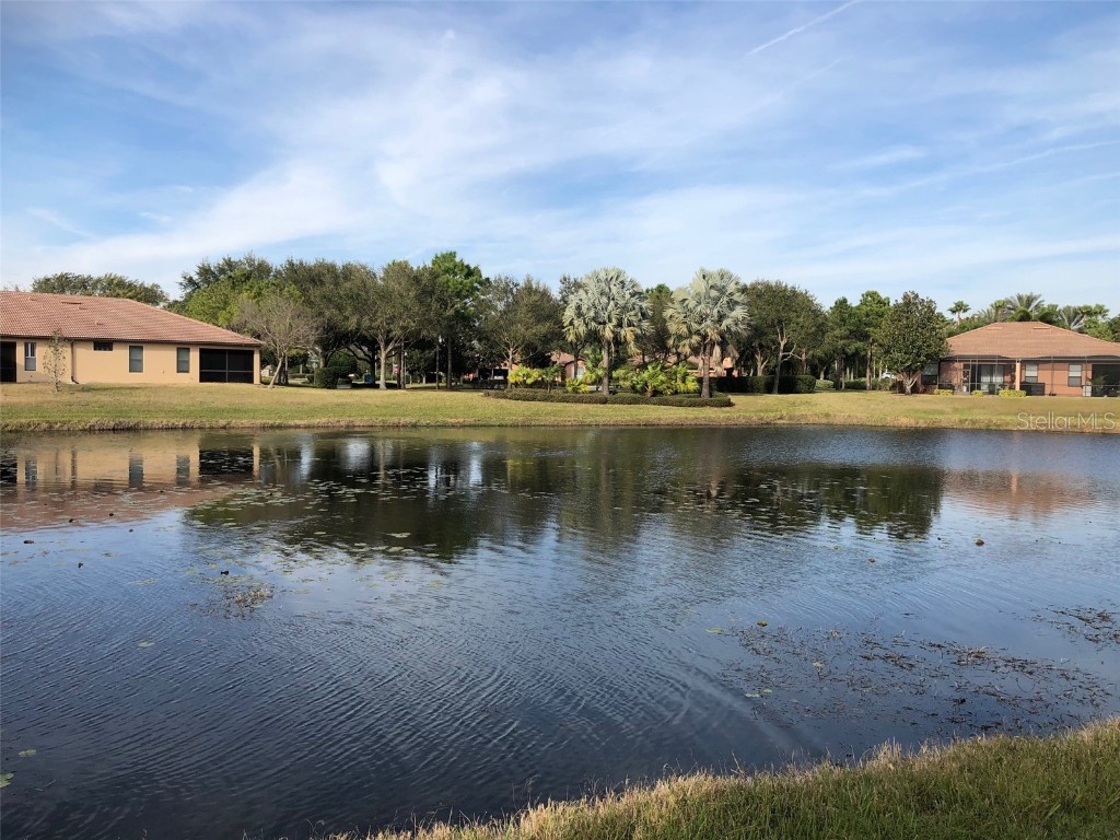 140 Shell Falls Drive Apollo Beach FL 33572 T3465990 image1