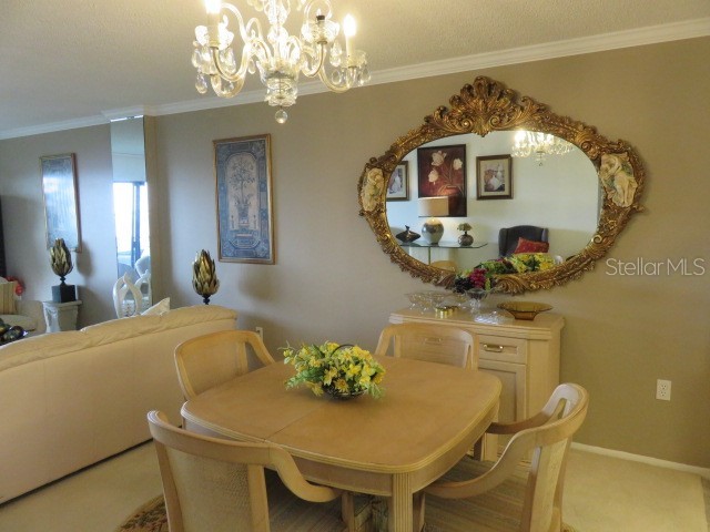 1400 1st Avenue W #504 Bradenton FL 34205 A4680432 image7