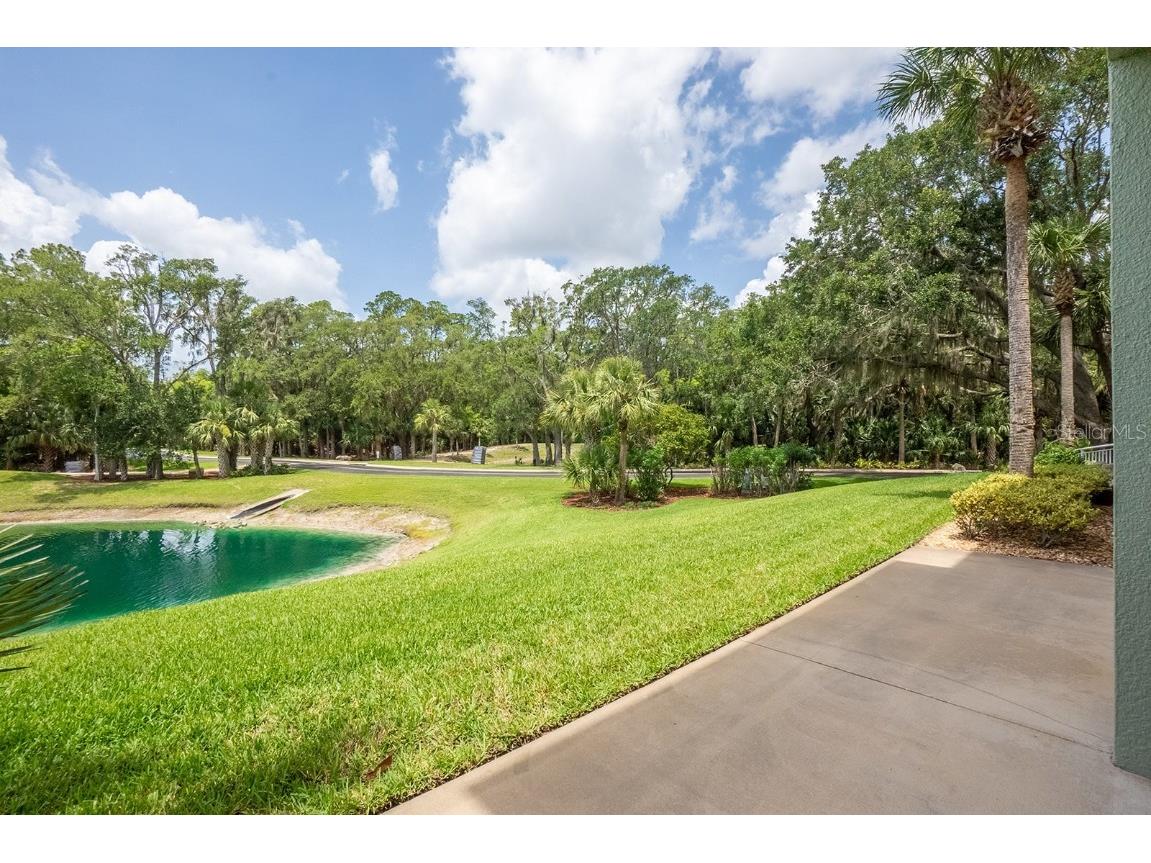 1400 Canopy Walk Lane #1413 Palm Coast FL 32137 FC310347 image33