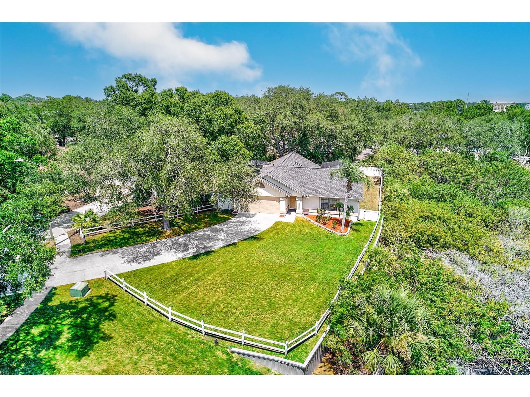 1400 Club Drive Tarpon Springs FL 34689 - ANCLOTE RIVER TB8517835 image22