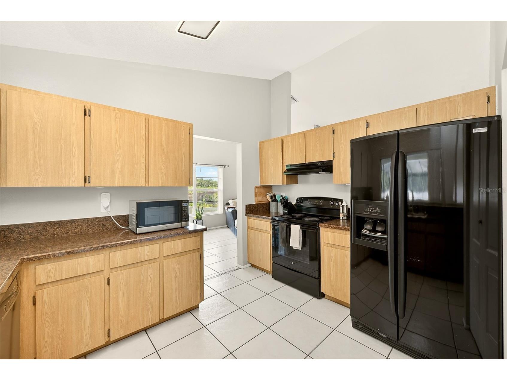 1400 Club Drive Tarpon Springs FL 34689 - ANCLOTE RIVER TB8517835 image8