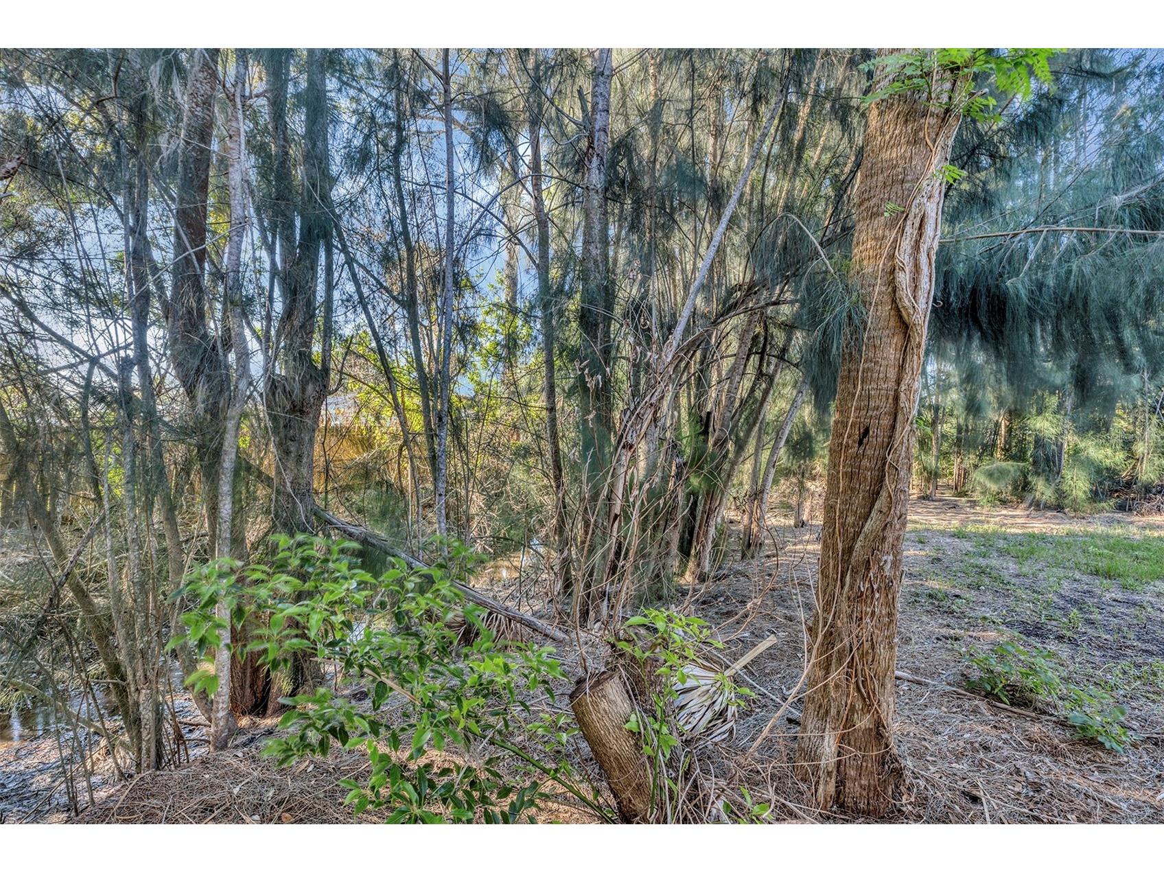 1400 Conrad Drive New Smyrna Beach FL 32168 O6401036 image36