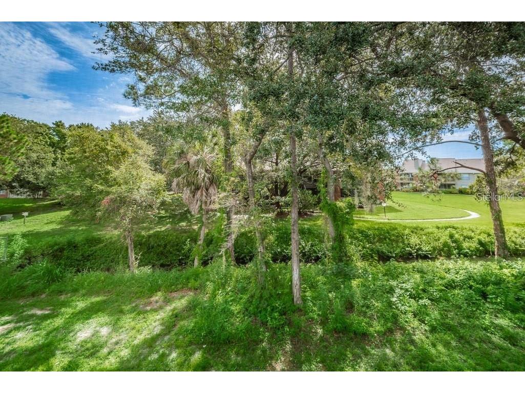 1400 Gandy Boulevard N #1107 Saint Petersburg FL 33702 TB8510174 image36