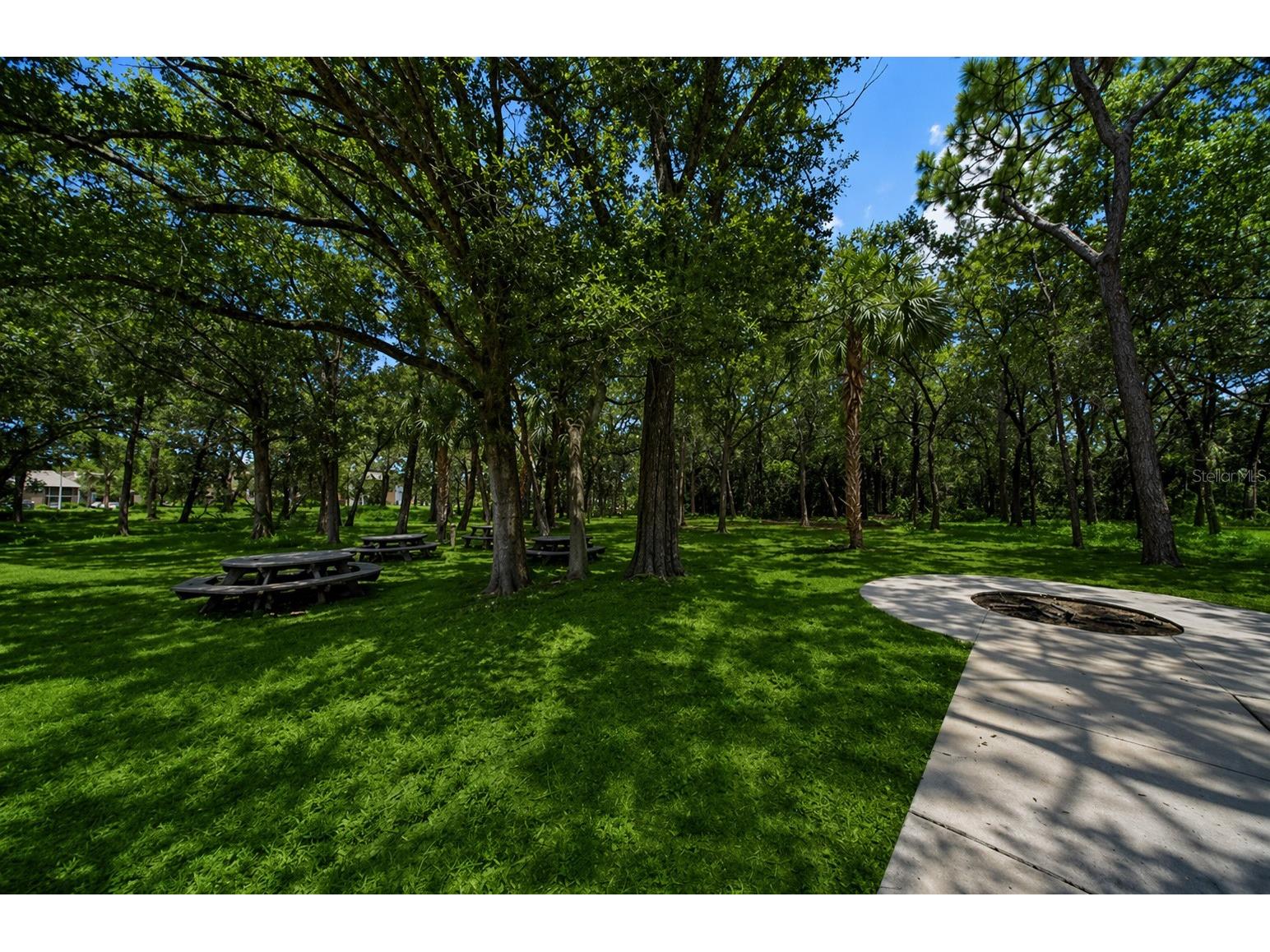1400 Gandy Boulevard N #1107 Saint Petersburg FL 33702 TB8510174 image41